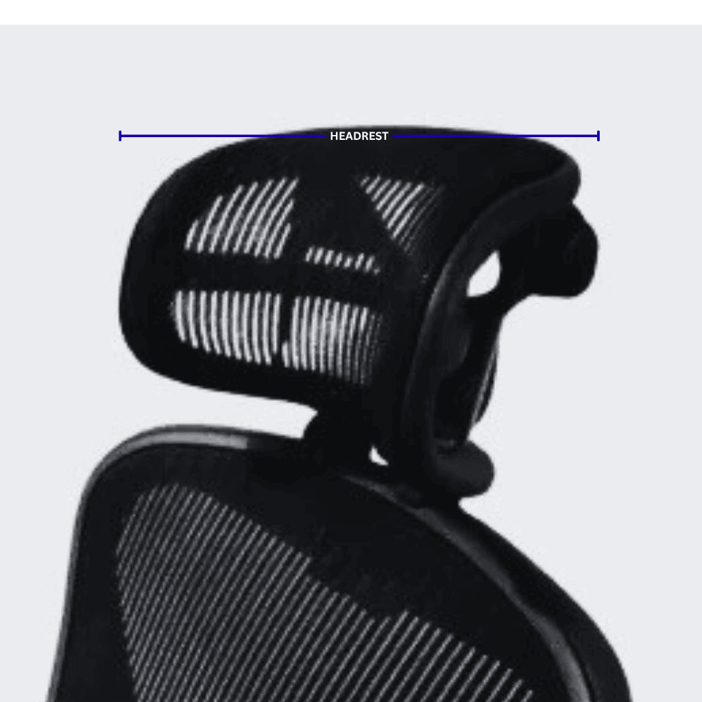 Lumbar Support Feature Image