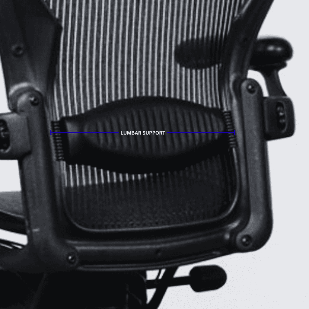 Lumbar Support Feature Image